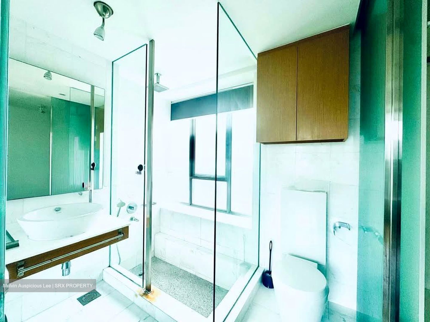 Vida (D9), Apartment #548078971